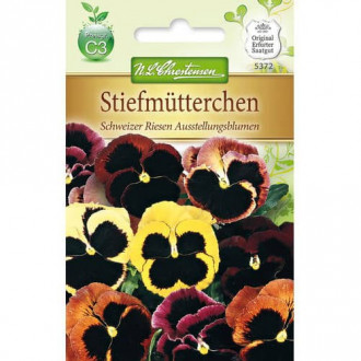 Швейцарска многоцветна теменужка Ausstellungsblumen изображение 4
